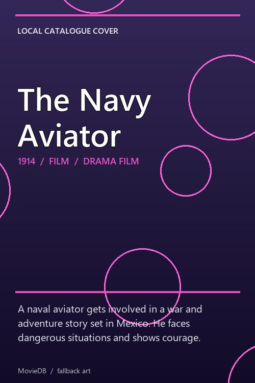 The Navy Aviator poster