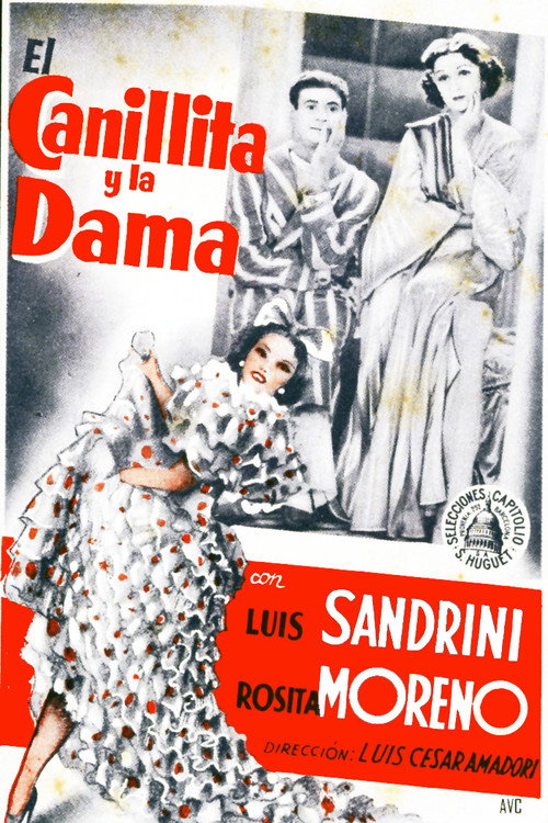 The Newsie and the Lady poster