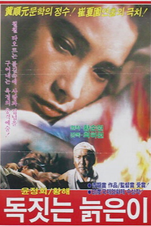 The Old Jar Craftsman poster