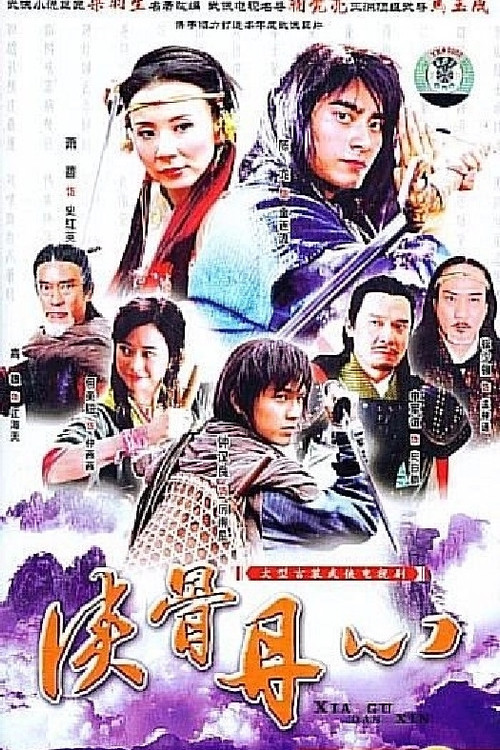 The Patriotic Knights poster
