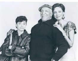 The Redd Foxx Show poster