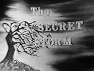 The Secret Storm poster