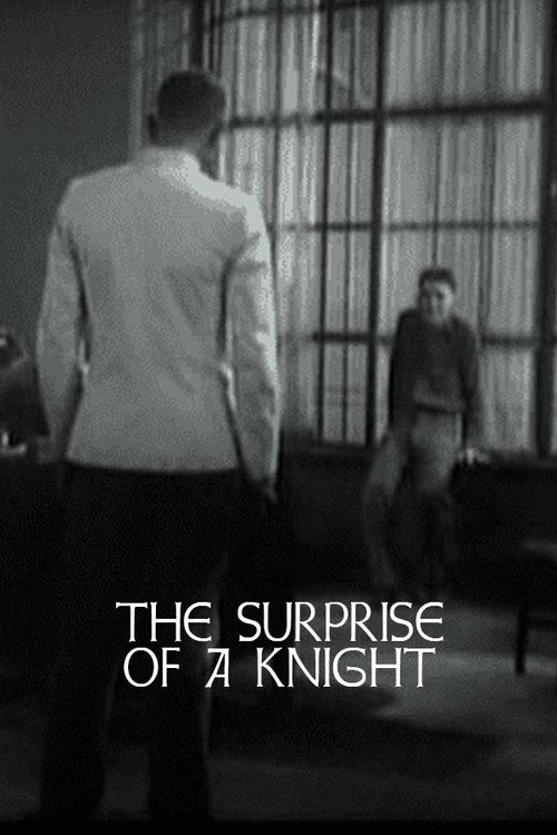 The Surprise of a Knight poster