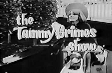 The Tammy Grimes Show poster