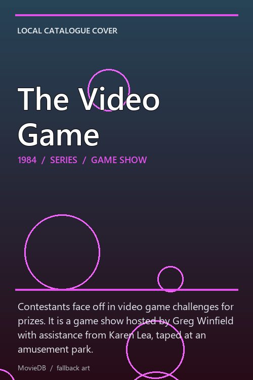 The Video Game poster