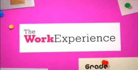 The Work Experience poster