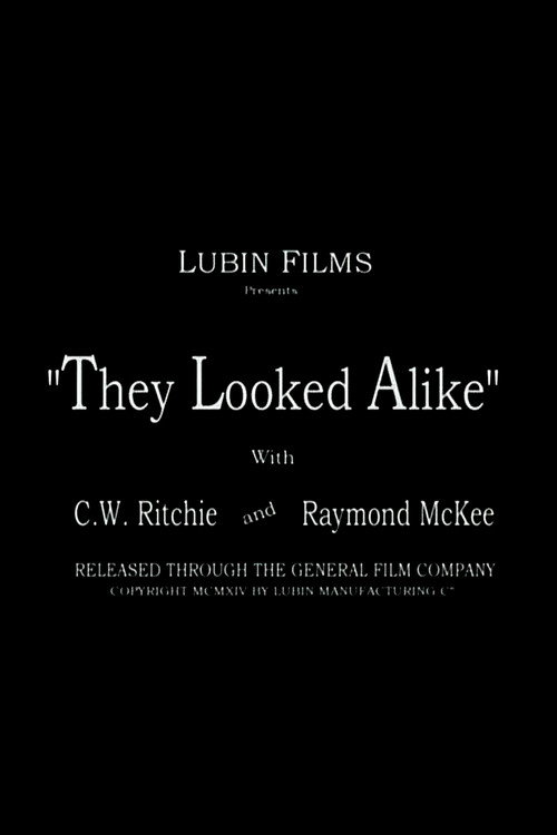They Looked Alike poster