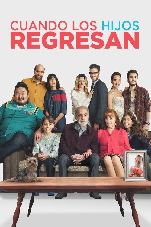 Cuando los hijos regresan poster