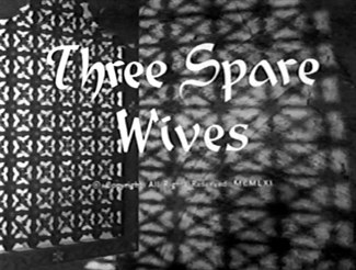 Three Spare Wives poster