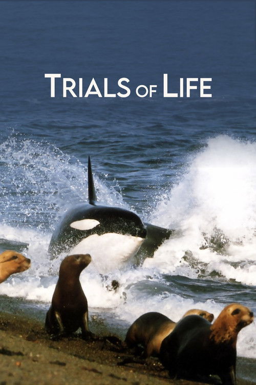 The Trials of Life poster