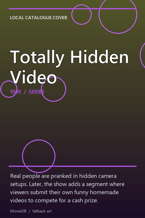 Totally Hidden Video poster