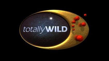 Totally Wild poster