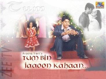 Tum Bin Jaaoon Kahaan poster