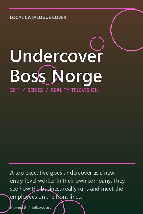 Undercover Boss Norge poster