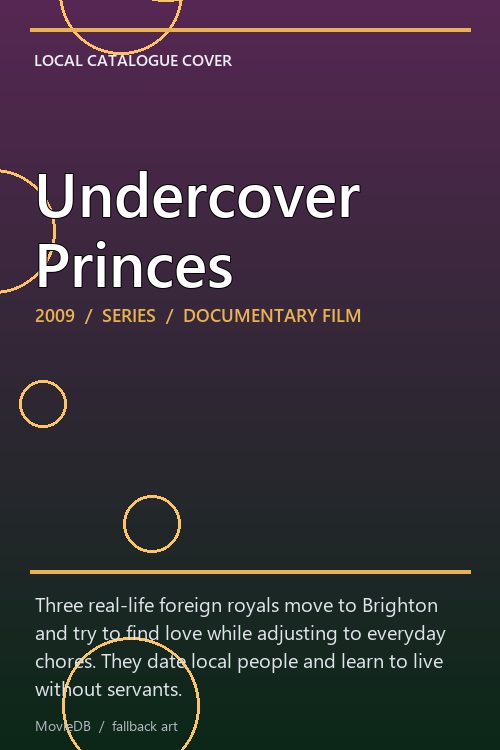 Undercover Princes poster