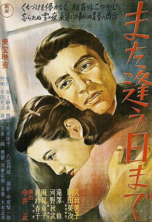 Until We Meet Again poster