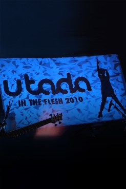 Utada: In the Flesh 2010 poster