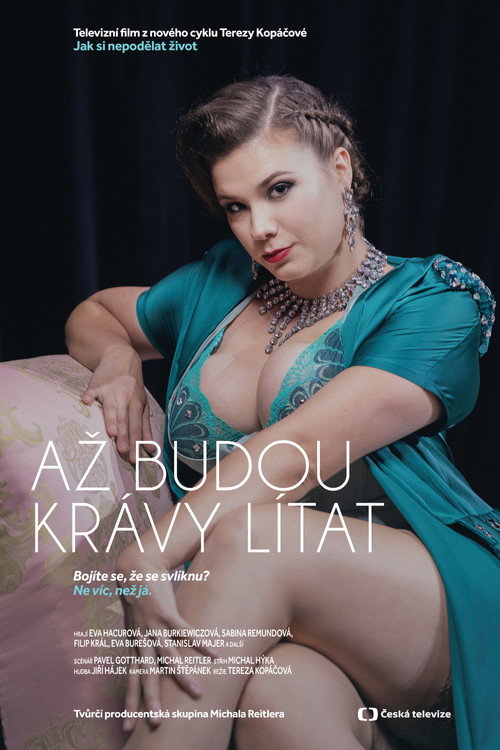 Jak si nepodelat zivot poster