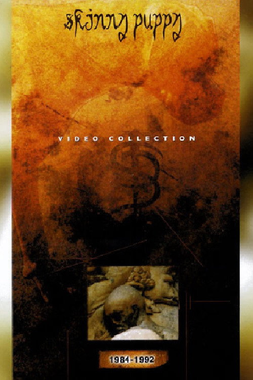 Video Collection poster