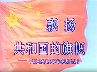 Flying the Flag of the Republic poster