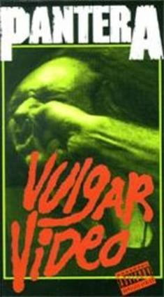 Vulgar Video poster