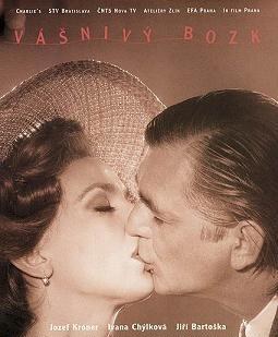 Vášnivý bozk poster