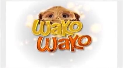 Wako Wako poster