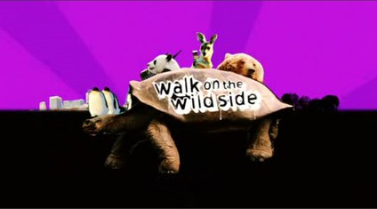 Walk on the Wild Side poster
