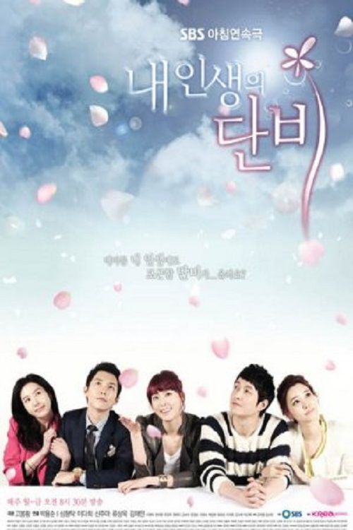 Welcome Rain to My Life poster