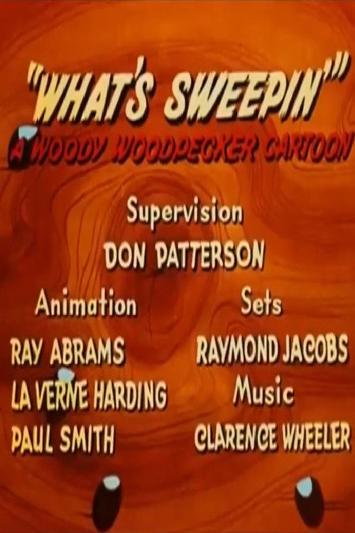 What's Sweepin' poster