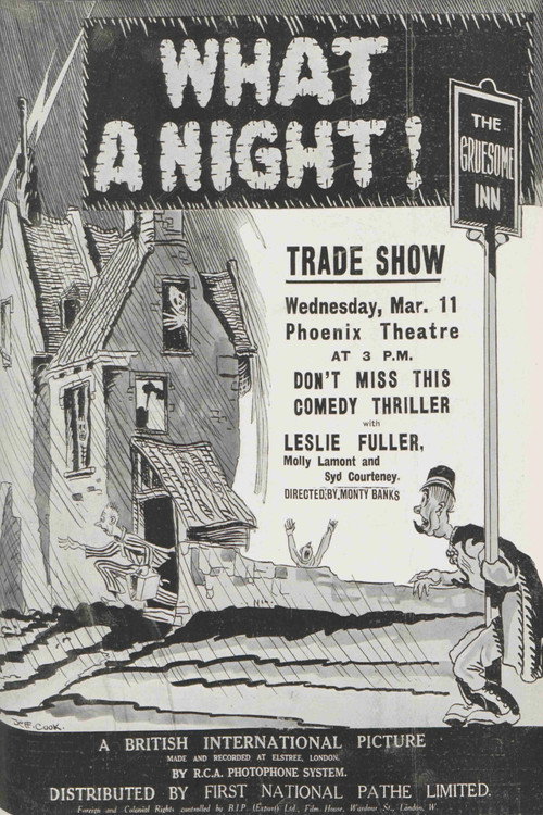 What a Night! poster