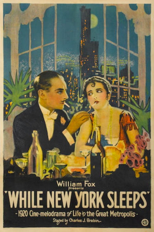 While New York Sleeps poster