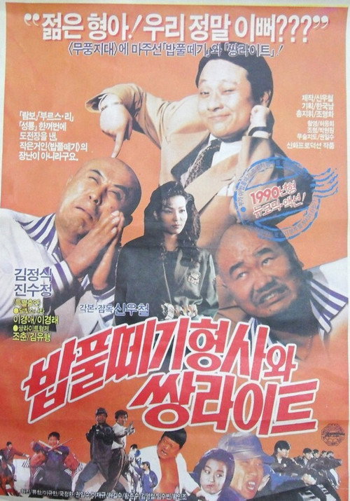 The Doofus Detective And Twin Light Brothers poster