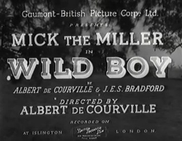Wild Boy poster