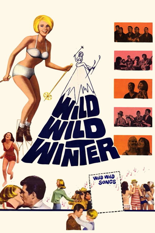 Wild Wild Winter poster