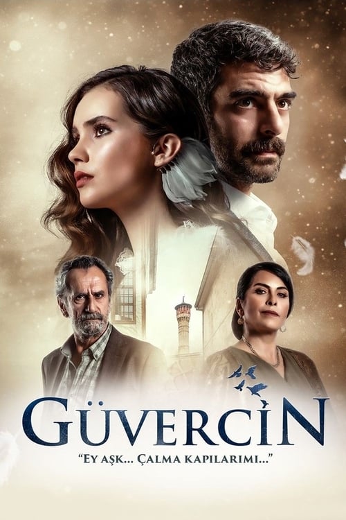Güvercin poster