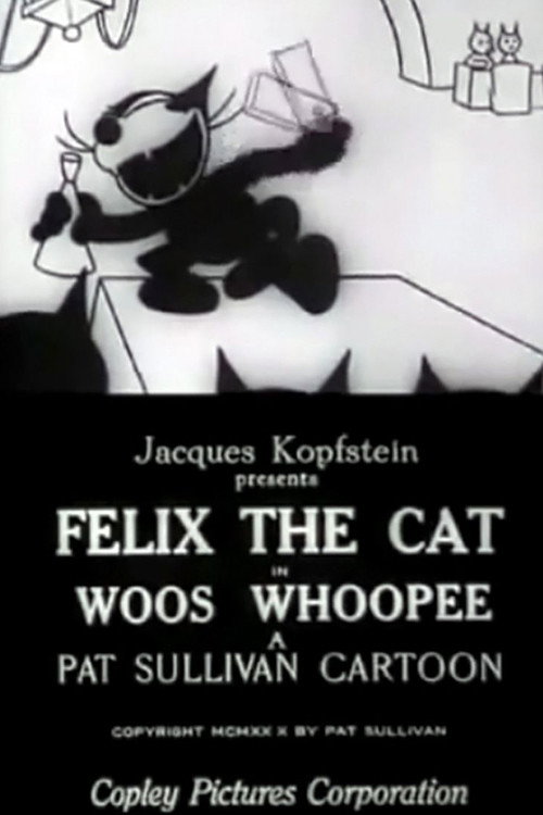 Felix the Cat Woos Whoopee poster