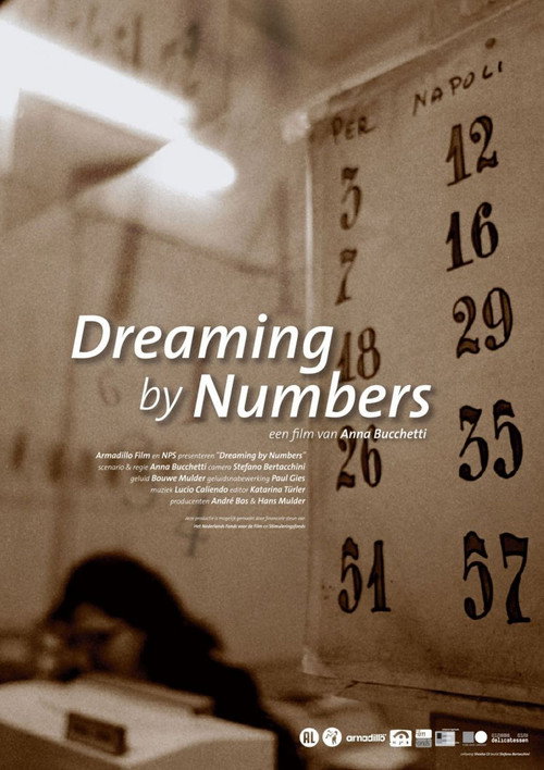 Dreaming by Numbers poster