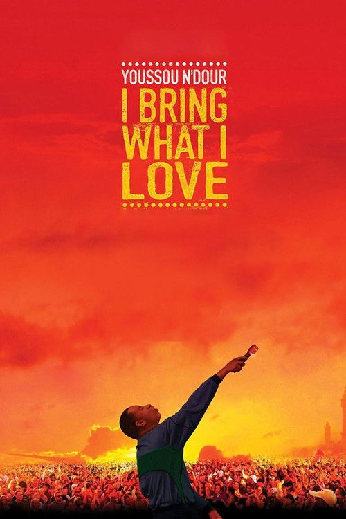 Youssou N'Dour: I Bring What I Love poster