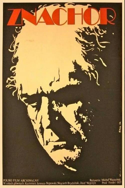 Znachor poster