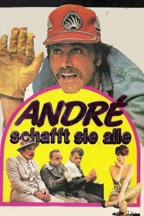 Andre Handles Them All poster