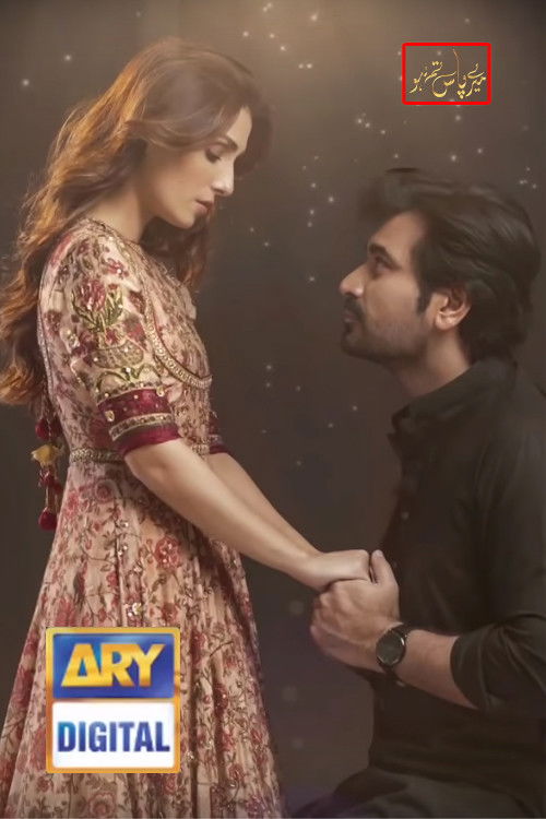 Mere Paas Tum Ho poster