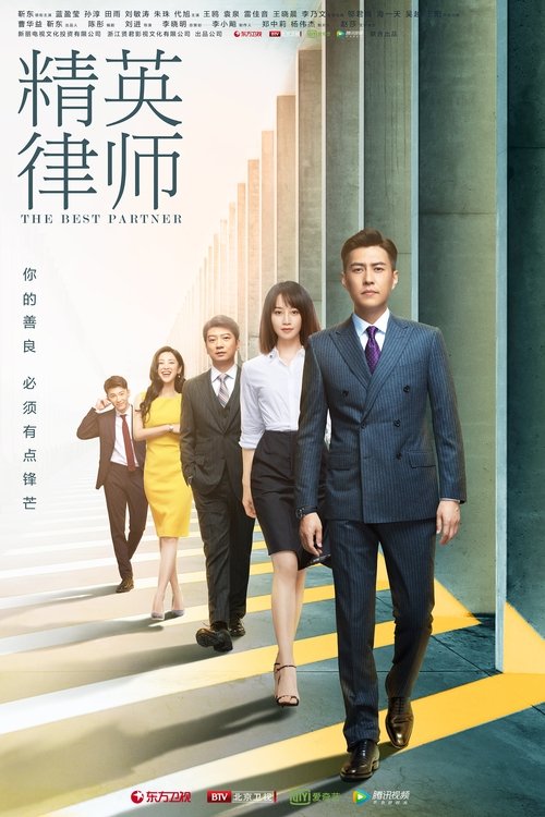 The Gold Medal Lawyer poster