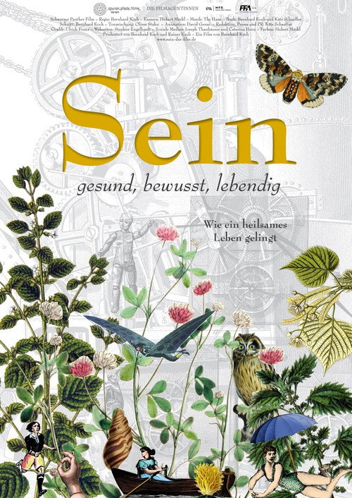 Sein poster