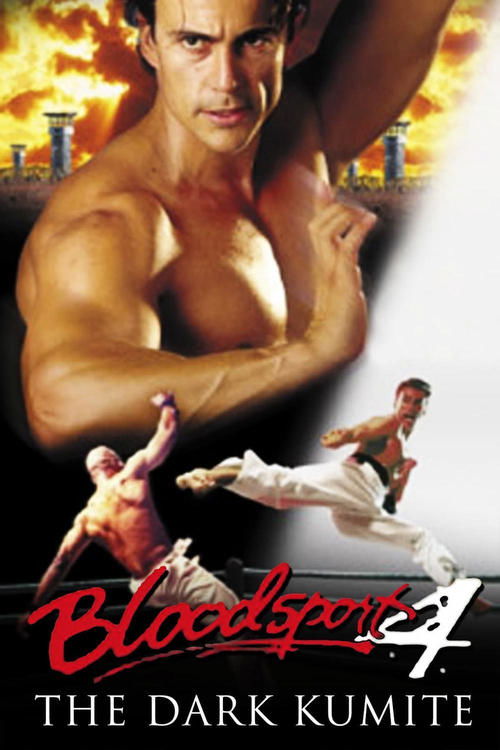 Bloodsport 4: The Dark Kumite poster