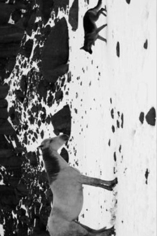 Little Block of Cement with Dishevelled Hair Containing the Sea poster