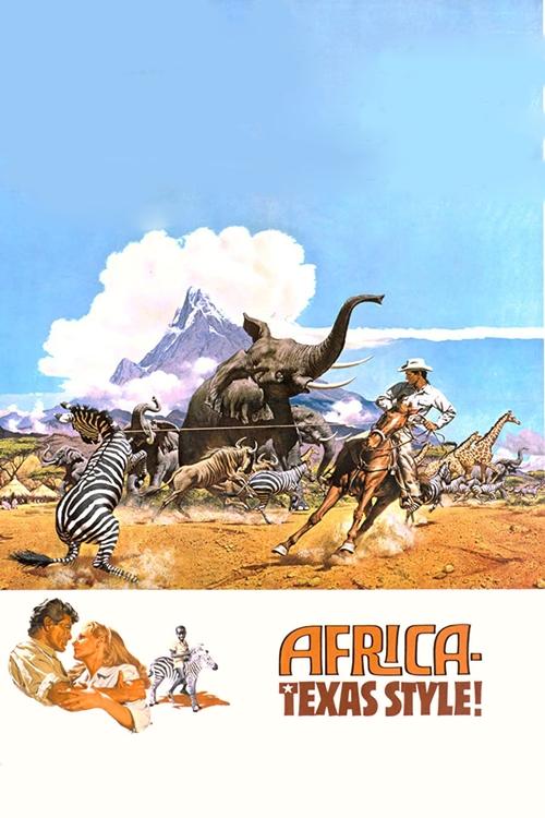 Africa Texas Style poster