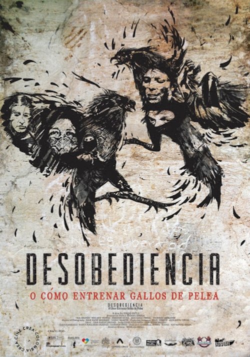 Disobedience or How to Train Fighting Roosters poster