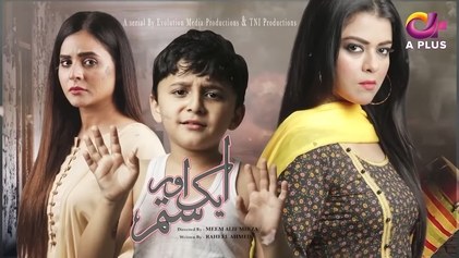 Aik Aur Sitam Hai poster