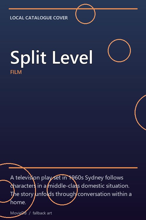 Split Level poster